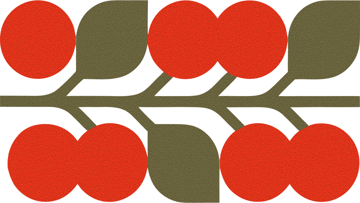 Coffee cherry branch illustration