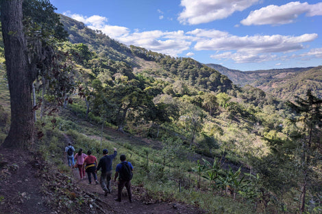 Photo of Cinco de Junio members walking along a path through the mountains. 