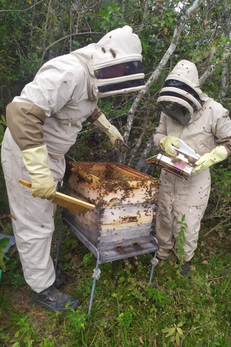 Beekeepers working on a hive.
