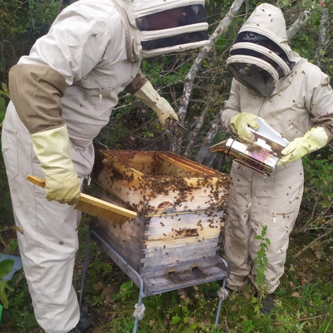 Apiaries