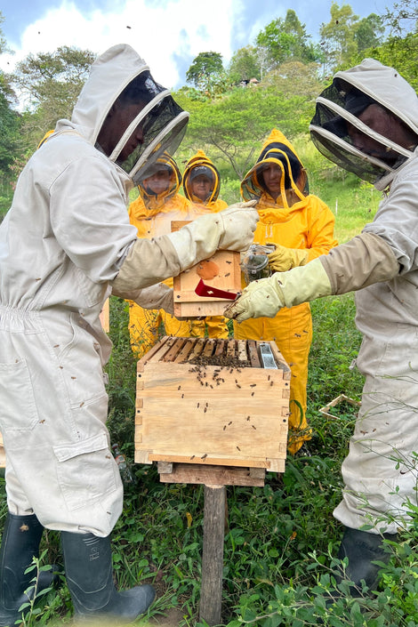 Photo of two beekeepers working on a hive with four others watching. 