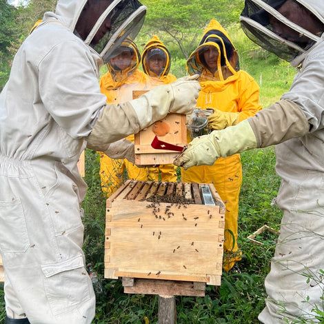 Apiaries
