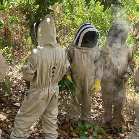 Apiaries