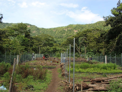 Biofertilizer