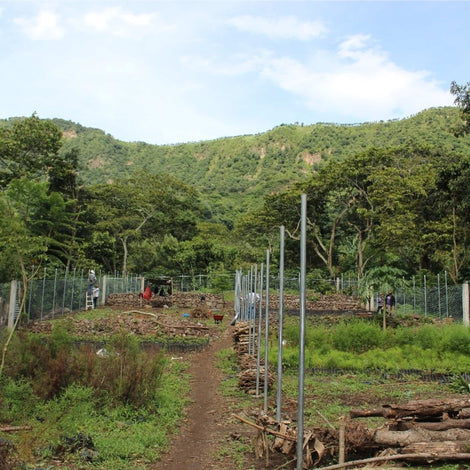 Biofertilizer