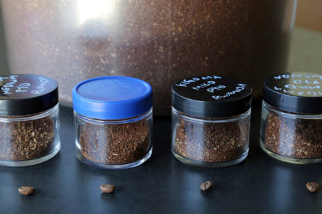 Coffee Basics: Potato Taste Defect
