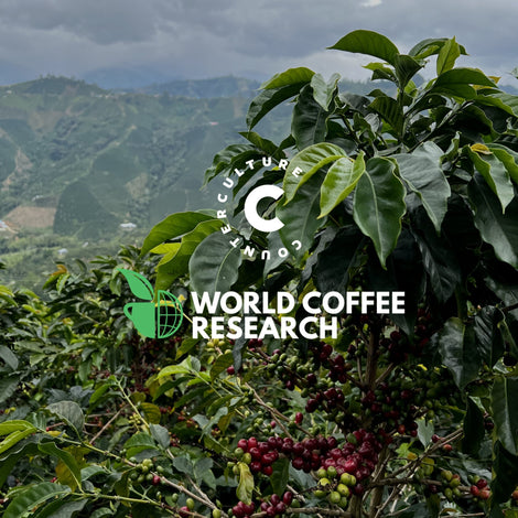 Counter Culture Coffee x World Coffee Research