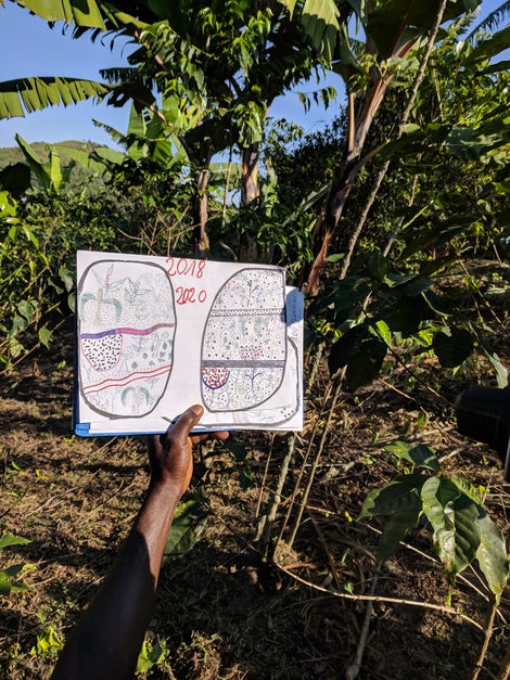 Photo of an outstretched hand holding a drawing of a farmers plot model in front of greenery.