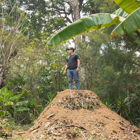 Compost Infrastructure
