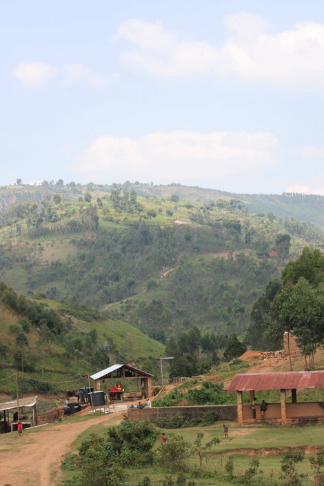 Photo of the coffee growing area in Burundi. There are coffee processing buildings in the foreground and mountains in the back.