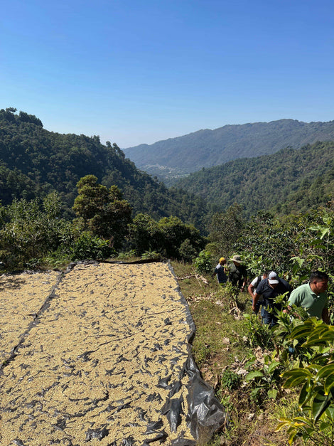 Demonstration Plots