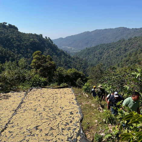 Demonstration Plots