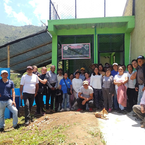 Eco Coffee Processing