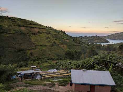Food Security and Income Diversification