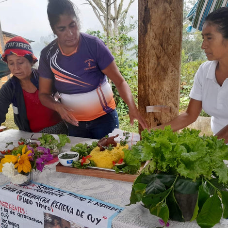Food Security And Income Diversification
