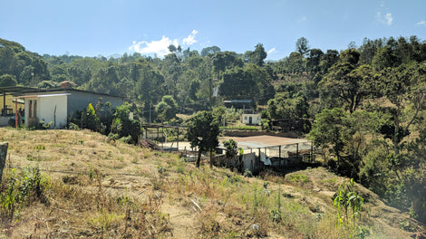 Efficient Cookstoves and Poultry Farms