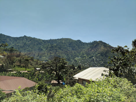 Community Gardens