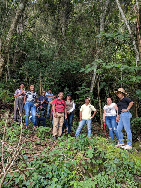 Members of K'uychi in front of the land they bought to reforest, as a water conservation effort. 