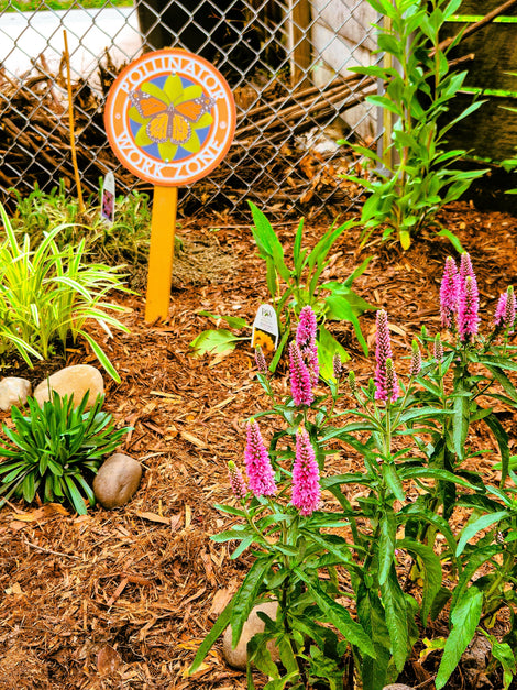 Pollinator Garden