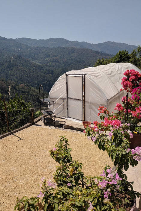 Photo of a greenhouse, drying coffee beans, and flowers in front of a landscape of mountains.