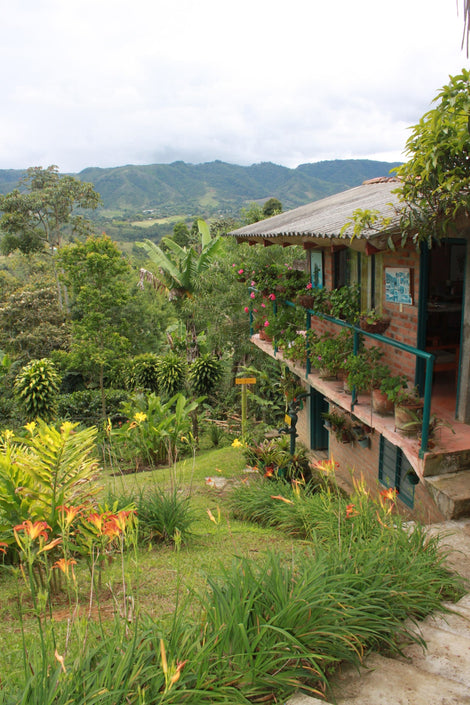 Photo of a building in Timbio, Colombia. There is a lot of vegetation covering the ground and mountains in the distance.