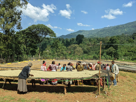 Clean Cookstoves