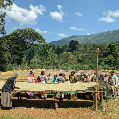 Clean Cookstoves