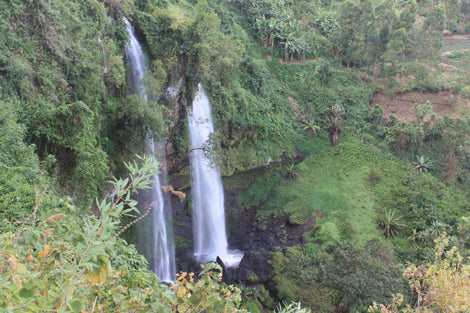 Image of Sipi Falls at the foothills of Mountain Elgon.