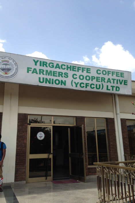 Photo of the exterior of YCFCU with a sign that says, "Yirgacheffe Coffee Farmers Cooperative Union (YCFCU)."