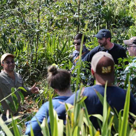 The Return of Origin Field Lab