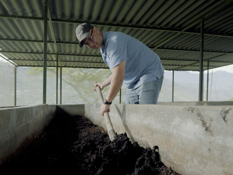 Worm Compost