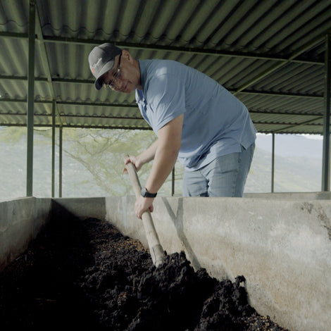 Worm Compost