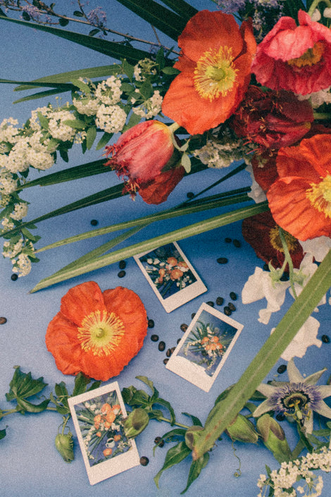 Photo of poppy flowers in an arrangement surrounded by coffee beans and polaroid photos.