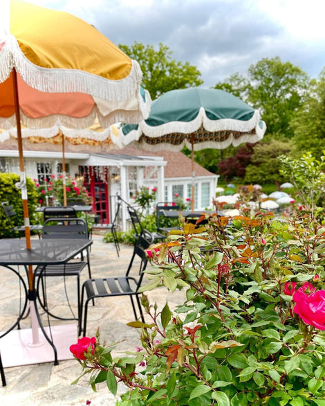 Pollinator Garden