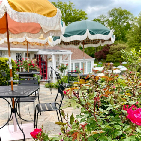Pollinator Garden