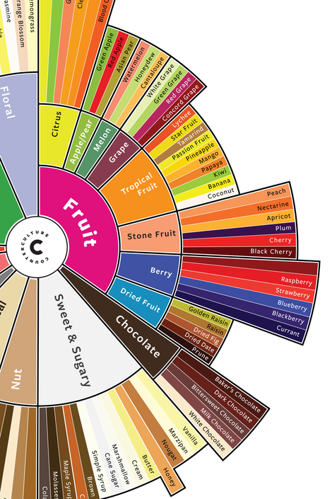 Close up image of the Counter Culture Coffee Taster's Flavor Wheel
