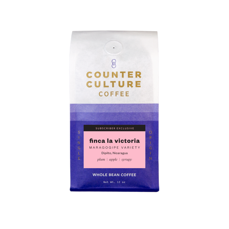Finca La Victoria – Maragogipe Variety