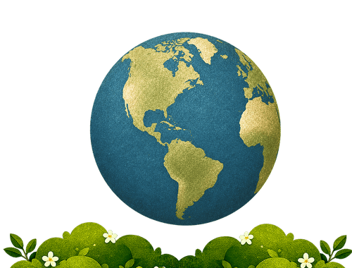 Our Impact on The Planet
