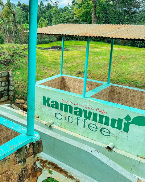 Kamavindi