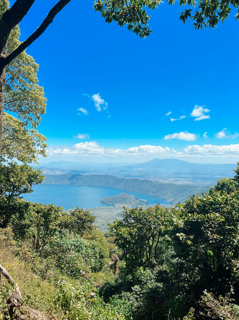 Finca Santa Elena