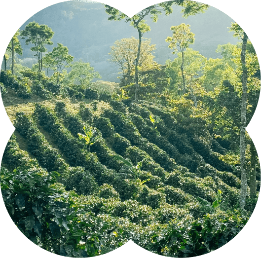 Nicaragua