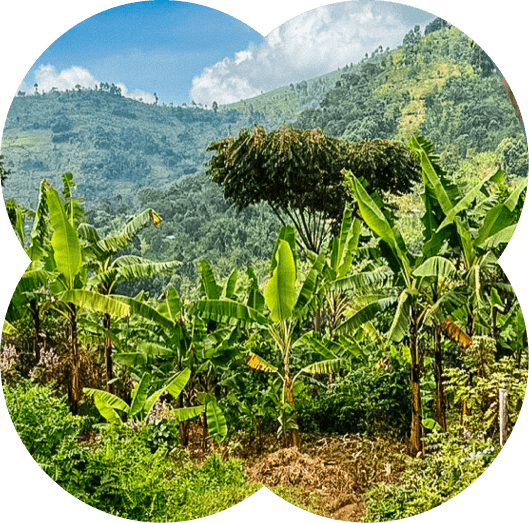 Uganda