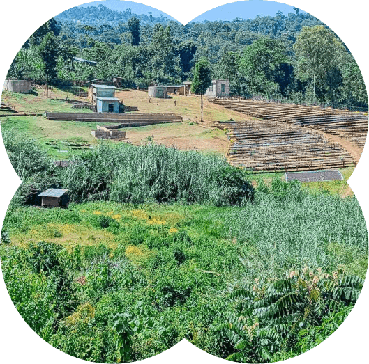 Ethiopia
