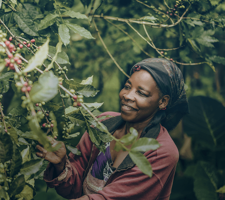 Coffee farmer in the field