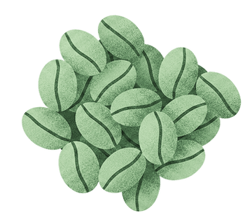 Green Coffee