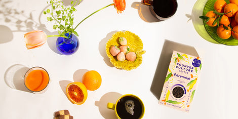 An overhead shot of 2 coffee mugs, a glass of juice, a blue glass case with 2 orange flowers and greenery, a green glass bowl of clementines, a yellow plate of pineberies, a sliced open blood orange, and checkered shortbread cookies surrounding a box of coffee named Perennial. Everything is on a cream colored background.
