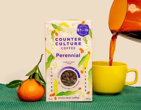 A box of Perennial coffee on a green ribbed surface and a cream background. A stemmed clementine sits to the left of the box and coffee is being poured into a yellow mug on the right side of the box.